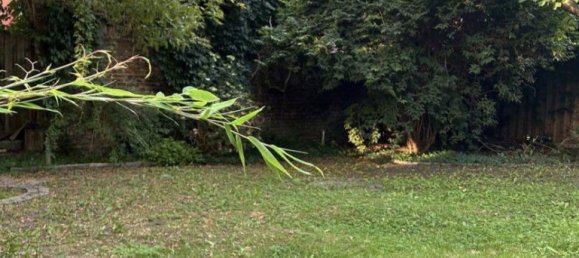 3 rooms House in Potsdam, Germany No. 340916 21