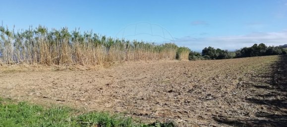 4 bedrooms House in Ponta Delgada, Portugal No. 158769 10