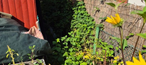 Terrain à Spandau, Germany No. 352710 3