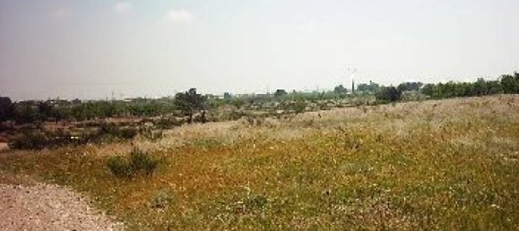 100000m² Land in San Vicente del Raspeig, Spain No. 22296 3