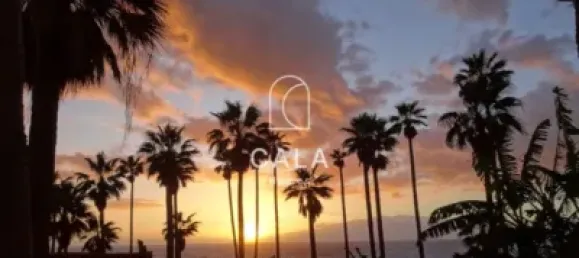 1 غرف نوم بانتهاوس في Adeje, Spain رقم 31689 14