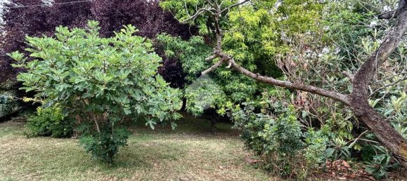 Casa T12 em Molinella, Italy N.º 297403 17