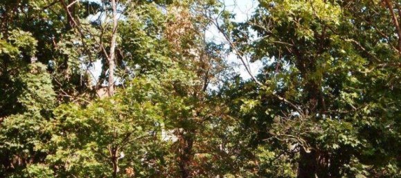 6غرفة منزل في Perchtoldsdorf, Austria رقم 246069 24