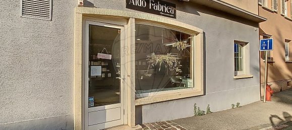 Коммерческая недвижимость 40м² в Руффаш, Франция № 247830 10