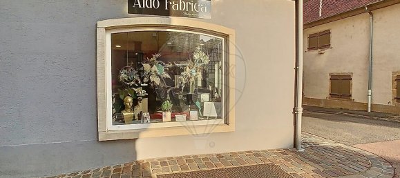 Коммерческая недвижимость 40м² в Руффаш, Франция № 247830 9