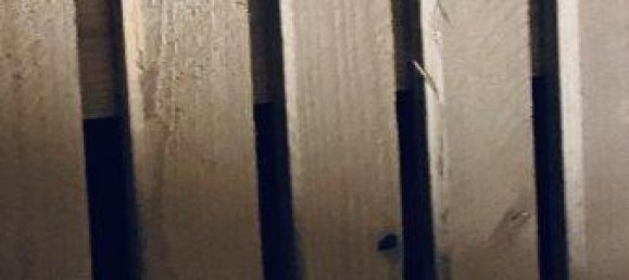 2 rooms Apartment in Ottakring, Austria No. 172579 15