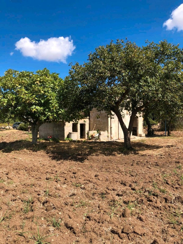 Terrain à Lorrach, Germany No. 338014