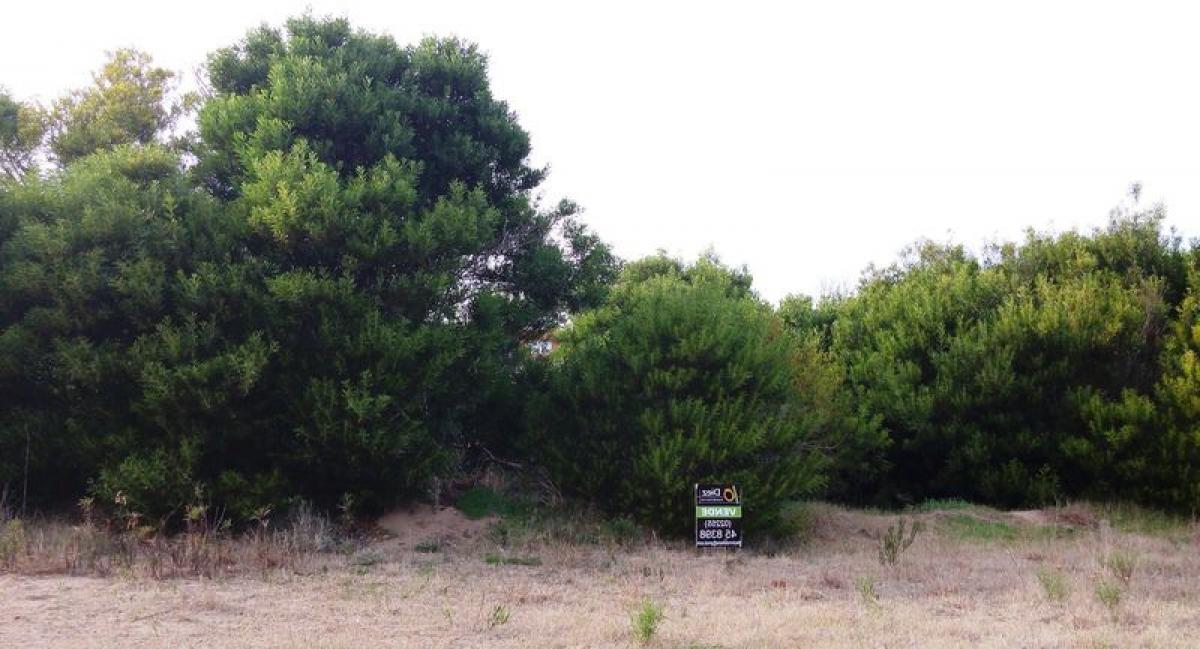 Terreno em Mar del Plata, Argentina N.º 116702