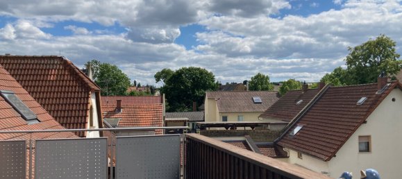 13 rooms Building in Alzey-Worms, Germany No. 348941 6