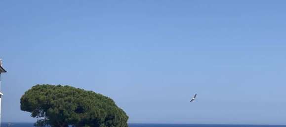 3 rooms Apartment in Alassio, Italy No. 109355 10