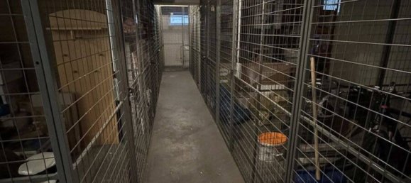 2 rooms Apartment in Erzgebirgskreis, Germany No. 16125 13