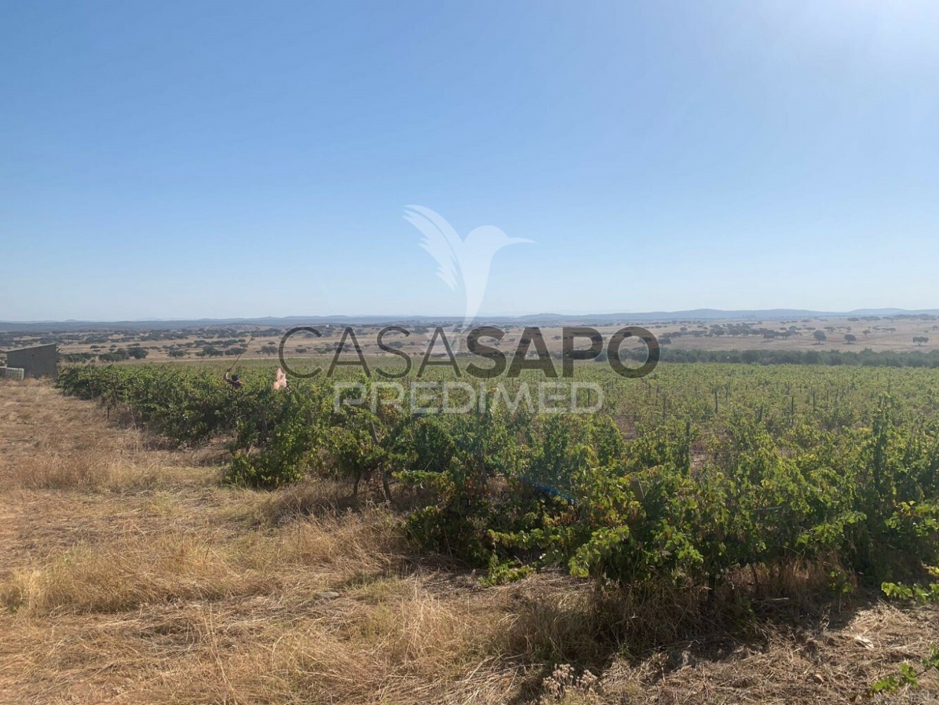  Land in Quarteira, Portugal No. 192757