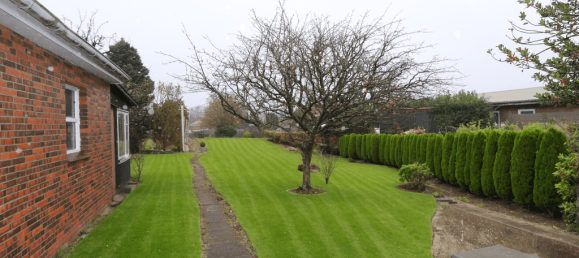 3 rooms House in Steinburg, Germany No. 12010 11