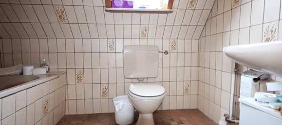 3 rooms House in Steinburg, Germany No. 12010 9