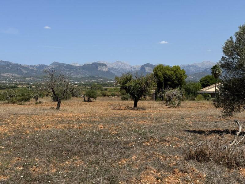 Grundstück in Santa Maria Del Cami, Spain 24556m², Nr. 177917