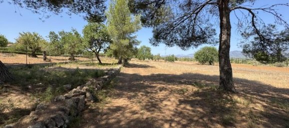 Grundstück in Santa Maria Del Cami, Spain 24556m², Nr. 177917 3