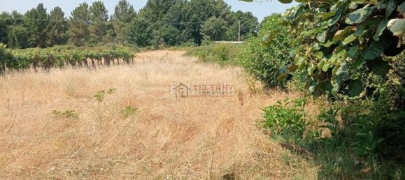 3 bedrooms House in Ourense, Spain No. 169688 45