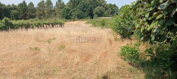 3 bedrooms House in Ourense, Spain No. 169688 44