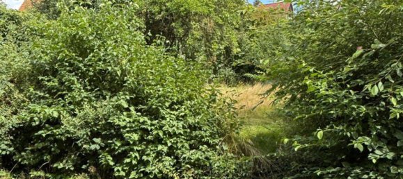 6غرفة منزل في Marburg-Biedenkopf, Germany رقم 259118 33