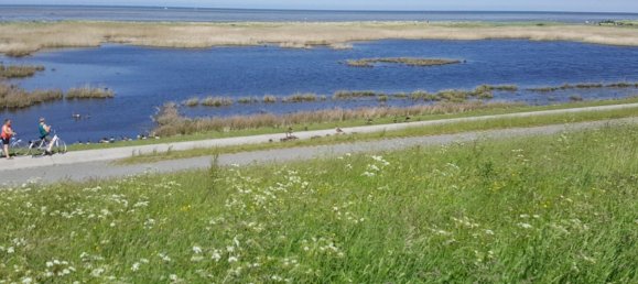 Таунхаус с 5 спальнями в Фрисландия, Германия № 364397 5