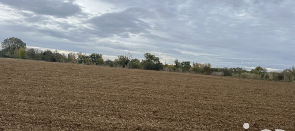 42827m² Land in Saint-Nazaire-d'Aude, France No. 97147 4