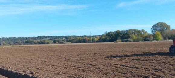 42827m² Land in Saint-Nazaire-d'Aude, France No. 97147 2