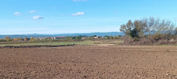 42827m² Land in Saint-Nazaire-d'Aude, France No. 97147 3