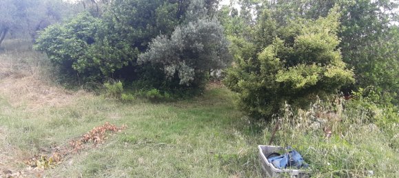 7500m² Land in Livorno, Italy No. 72043 2