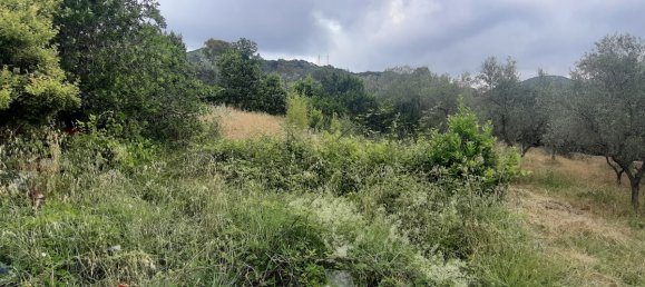 7500m² Land in Livorno, Italy No. 72043 3