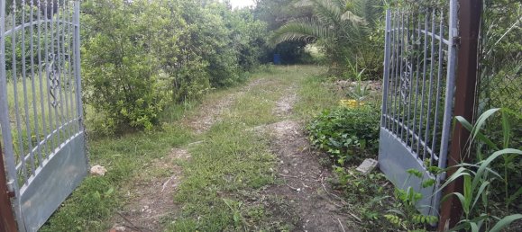 7500m² Land in Livorno, Italy No. 72043 16