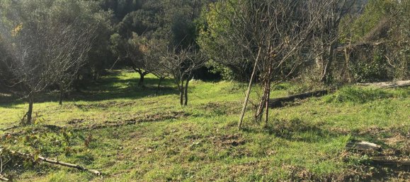 7500m² Land in Livorno, Italy No. 72043 22