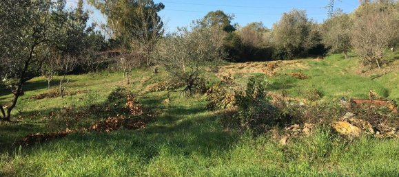 7500m² Land in Livorno, Italy No. 72043 23