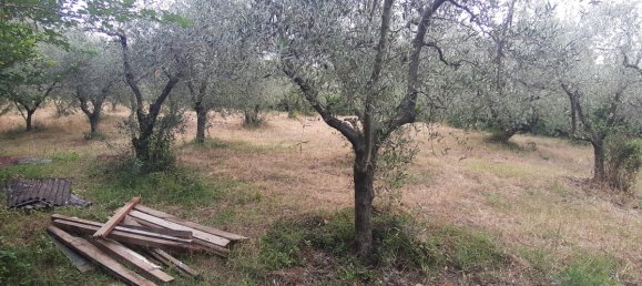 7500m² Land in Livorno, Italy No. 72043 14