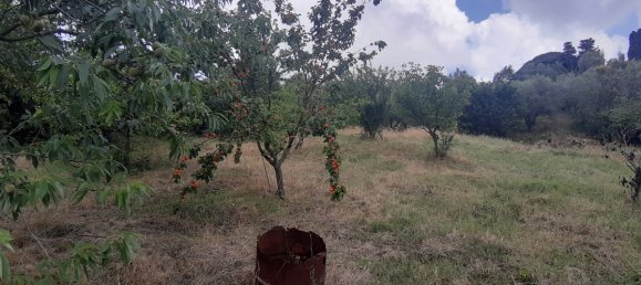 7500m² Land in Livorno, Italy No. 72043 10