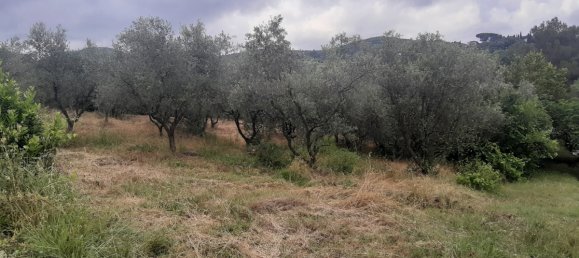 7500m² Land in Livorno, Italy No. 72043 4
