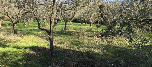 7500m² Land in Livorno, Italy No. 72043 26