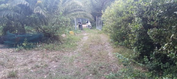 7500m² Land in Livorno, Italy No. 72043 15