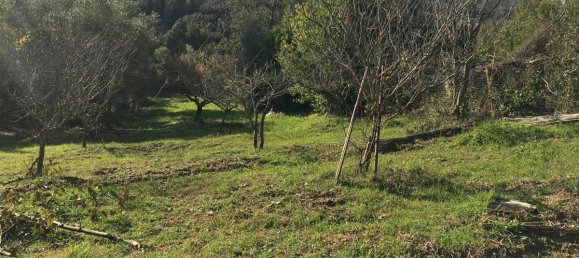 7500m² Land in Livorno, Italy No. 72043 21