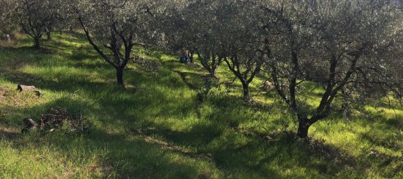 7500m² Land in Livorno, Italy No. 72043 17