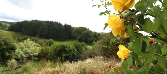 Casa de 6 divisões em Rhein-Neckar-Kreis, Germany N.º 368393 30