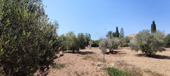 3 chambres Propriété commerciale à Maroni, Cyprus No. 81671 5