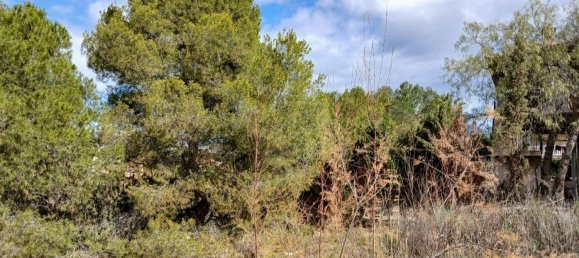  قطعة أرض في Mutxamel, Spain رقم 186531 2