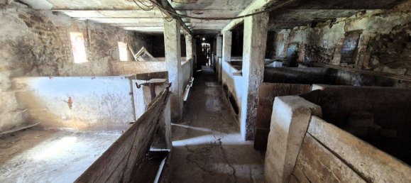 2 bedrooms House in Ludwigslust-Parchim, Germany No. 283605 12