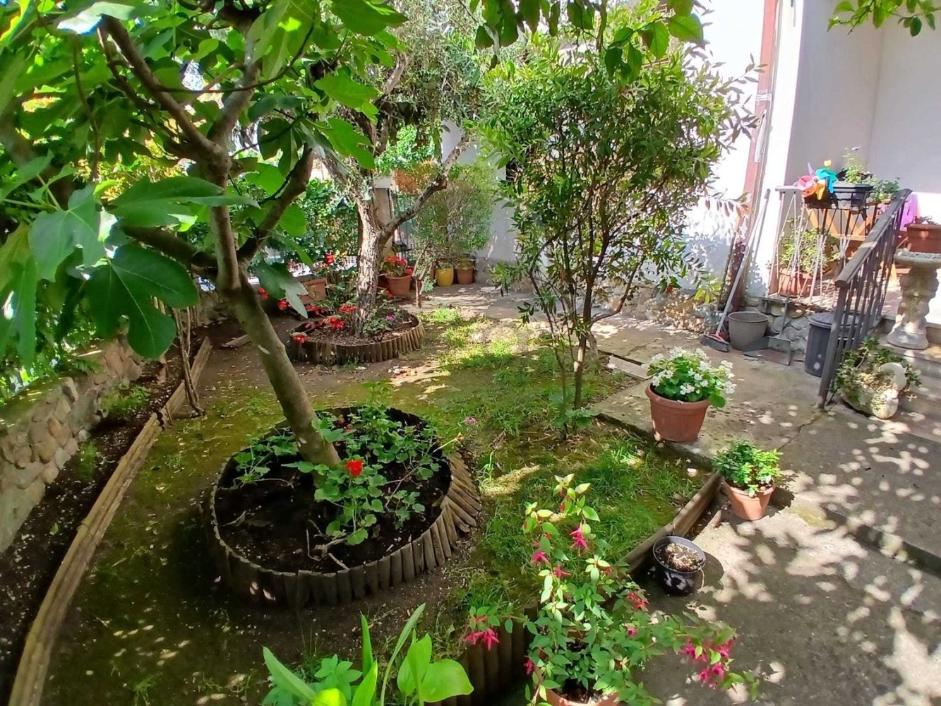 3 rooms House in Massa, Italy No. 261561