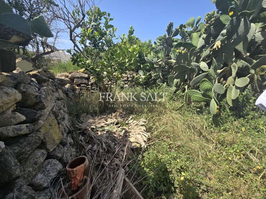 1 Schlafzimmer Haus in Victoria, Malta, Nr. 1003