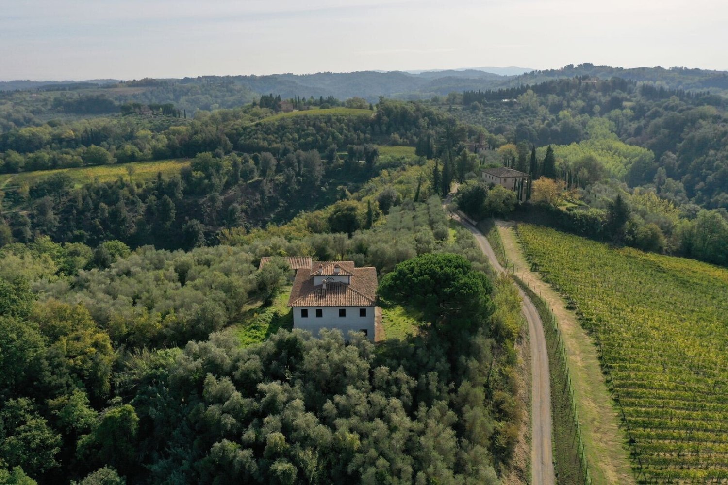 9 bedrooms House in Palaia, Italy No. 56894