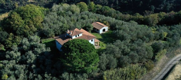 9 bedrooms House in Palaia, Italy No. 56894 4