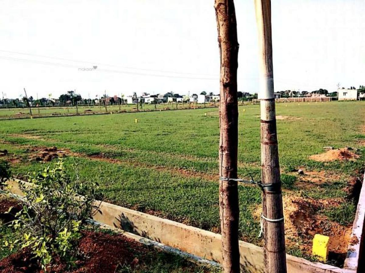  Land in Andhra Pradesh, India No. 32648