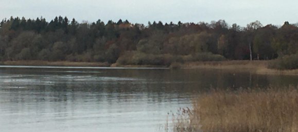 Земельный участок в Траунштайн, Германия № 119581 4