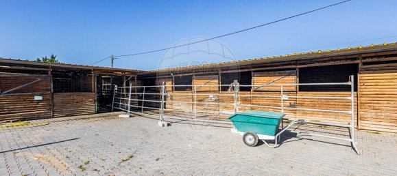Casa de 5 dormitorios en Alpiarca, Portugal No. 186149 17